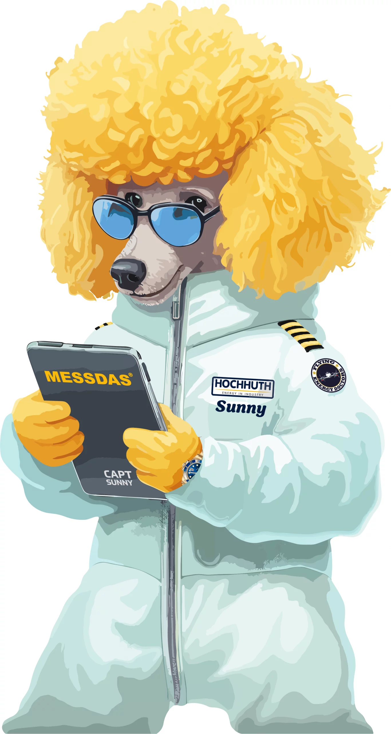 Energiemanagement System mit Sunny